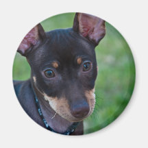Min Pin magnet