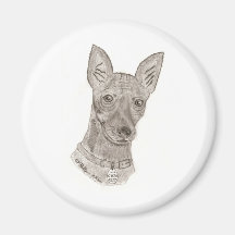 min pin magnets
