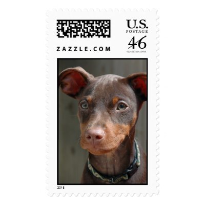 Min Pin Postage by wolfmountainstudio