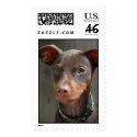 Min Pin postage