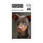 Min Pin postage