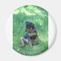 min pin refrigerator magnet