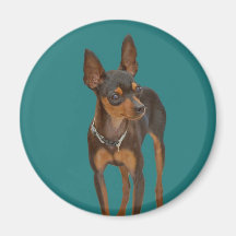 Min Pin Refrigerator Magnets
