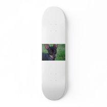 Min Pin skateboard
