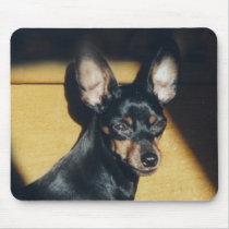 Min Pin Spot Light Mousepad by dtreasures Min Pin Spot Light Mousepad