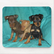 min-pins mousepads by denvercris min-pins mousepads