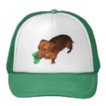 Minature Dachshund Mesh Hat