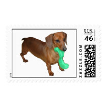 Minature Dachshund Stamps