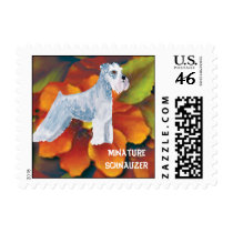 Minature Schnauzer - Autumn Floral Design Postage Stamps