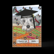 Minature Schnauzer Graduation Card cards