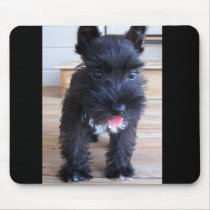 Minature Schnauzer mousepads by central_swimmer22 Minature Schnauzer mousepads