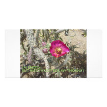MIND FOSSILS CACTI BITE photo cards