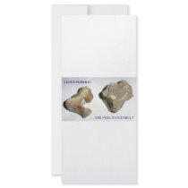 MIND FOSSILS CACTI BITE rack cards by LOOSIELUCY MIND FOSSILS CACTI BITE rack cards