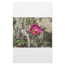 MIND FOSSILS CACTI BITE stationery