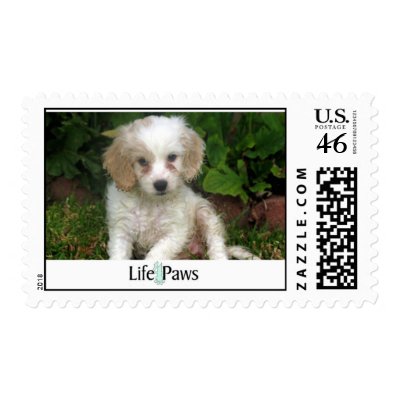 Mindy Stamp by life4paws
