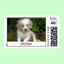 Mindy postage by life4paws Mindy postage