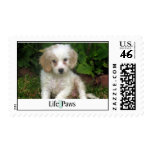 Mindy Stamp