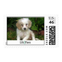 Mindy postage