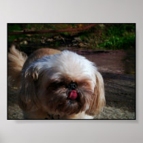 Mindy Poster