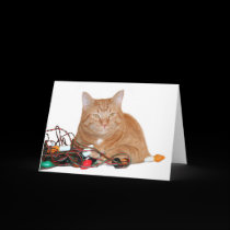 Mine!!