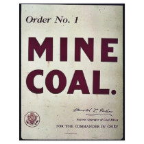 Mine Coal Full Color Flyer