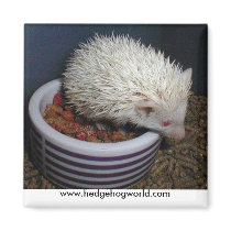 MINE! magnet by hedgehogworld MINE! magnet