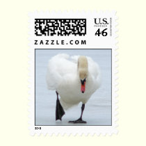 Mine postage