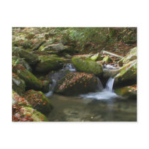 Mineral Creek postcards by jetkrazee Mineral Creek postcards