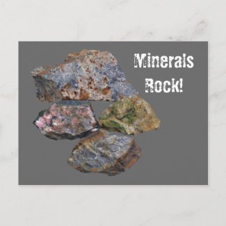 Minerals Rock Collectors Funny Postcard postcard