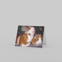 Minerva and Friends Notecard cards