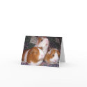 Minerva and Friends Notecard by ctguineapigs Minerva and Friends Notecard