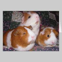 Minerva and Friends Notecard cards