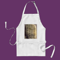 ming dynasty aprons