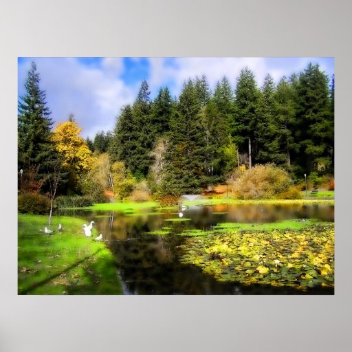 Mingus Park Coos Bay, Oregon Poster Zazzle