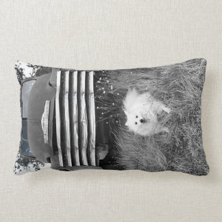 american eskimo pillow