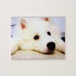 Mini American Eskimo Puzzle