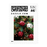 Mini American Eskimo Stamp