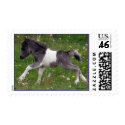 Mini Baby Horse US Stamp by RookyStudios Mini Baby Horse US Stamp