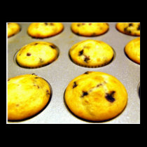 mini blueberry muffins postcards