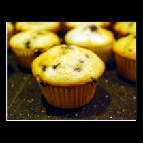 mini blueberry muffins postcards