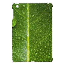 Mini caso de IPad brillante - hoja verde con desce