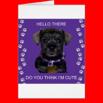 Mini_Dog_2[1] cards