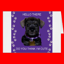 Mini_Dog_2[1] cards
