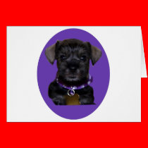 Mini_Dog_Again cards