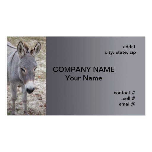 mini donkey business card