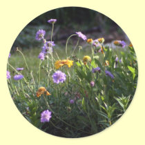Mini Garden stickers