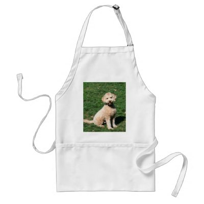mini goldendoodle puppy. Mini Goldendoodle puppy apron by ritmoboxer. Mini Goldendoodle puppy apron