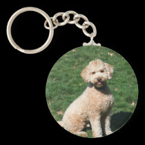 Mini Goldendoodle puppy keychain keychains