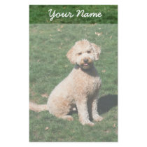 Mini Goldendoodle puppy stationary stationery by ritmoboxer Mini Goldendoodle puppy stationary stationery
