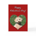 Mini Goldendoodle Valentines Day Card